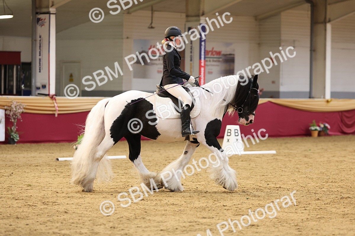 SBM_09310 - Class 51 Dressage to Music