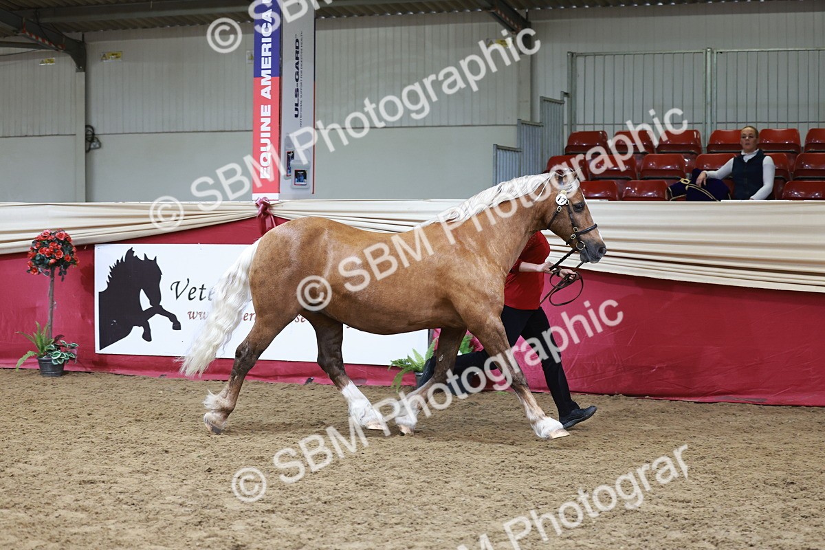 SBM_17446 - Class 951 - M&M IH Supreme Final