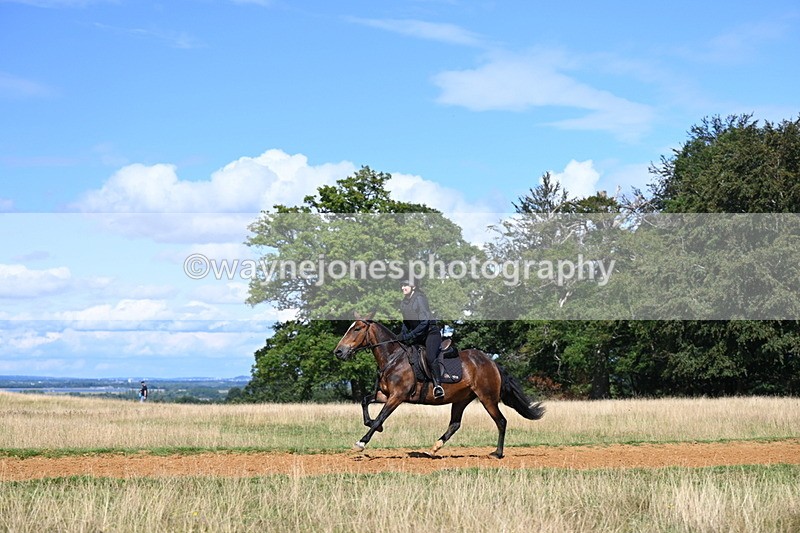 DSC_0189 - Time at Statue 15:58 to 16:05