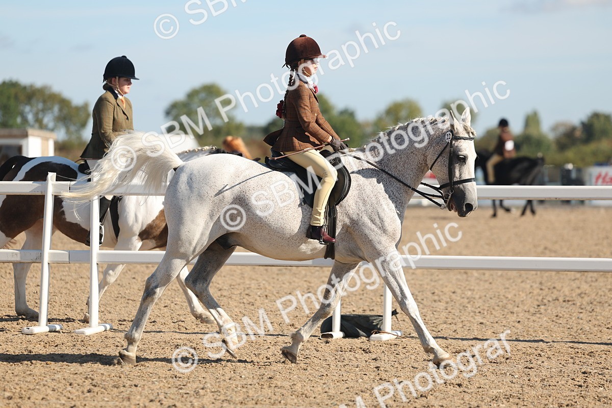 SBM_12297 - Class 304 - Ridden part Bred Horse Pony