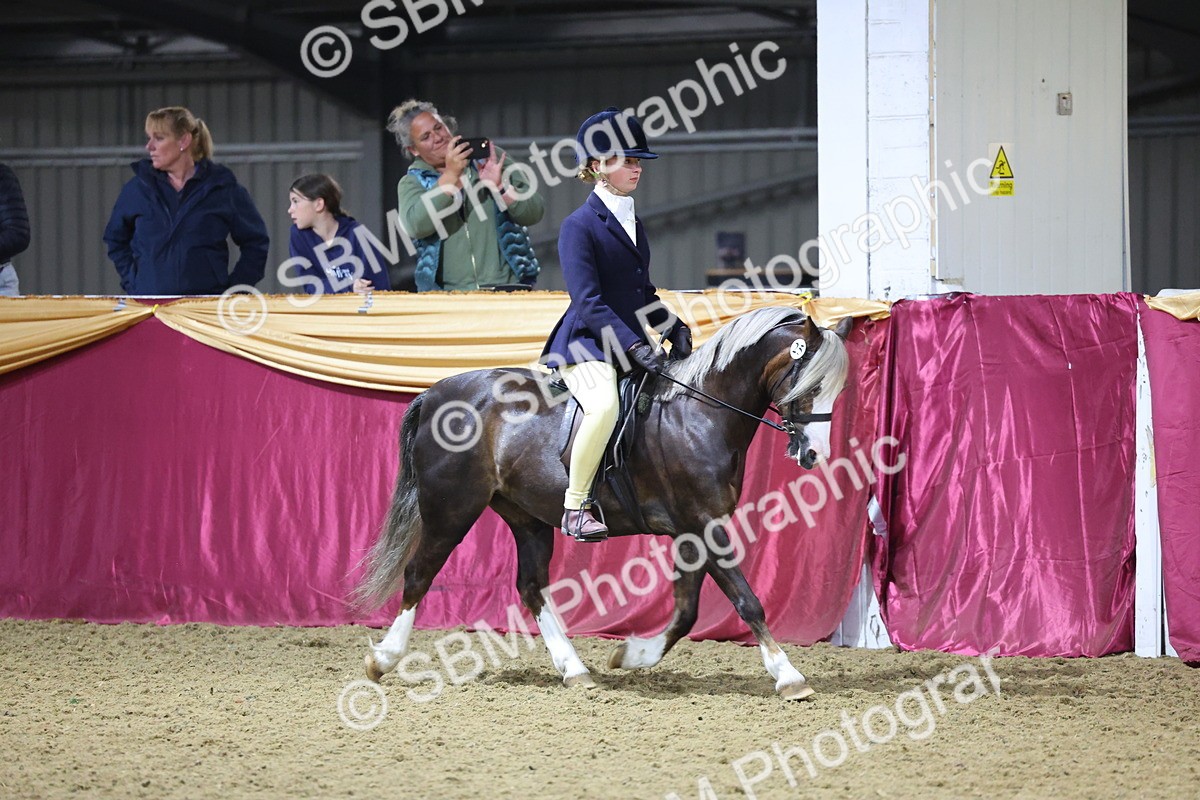 0B8A4644 - Class R Working Veteran Champ