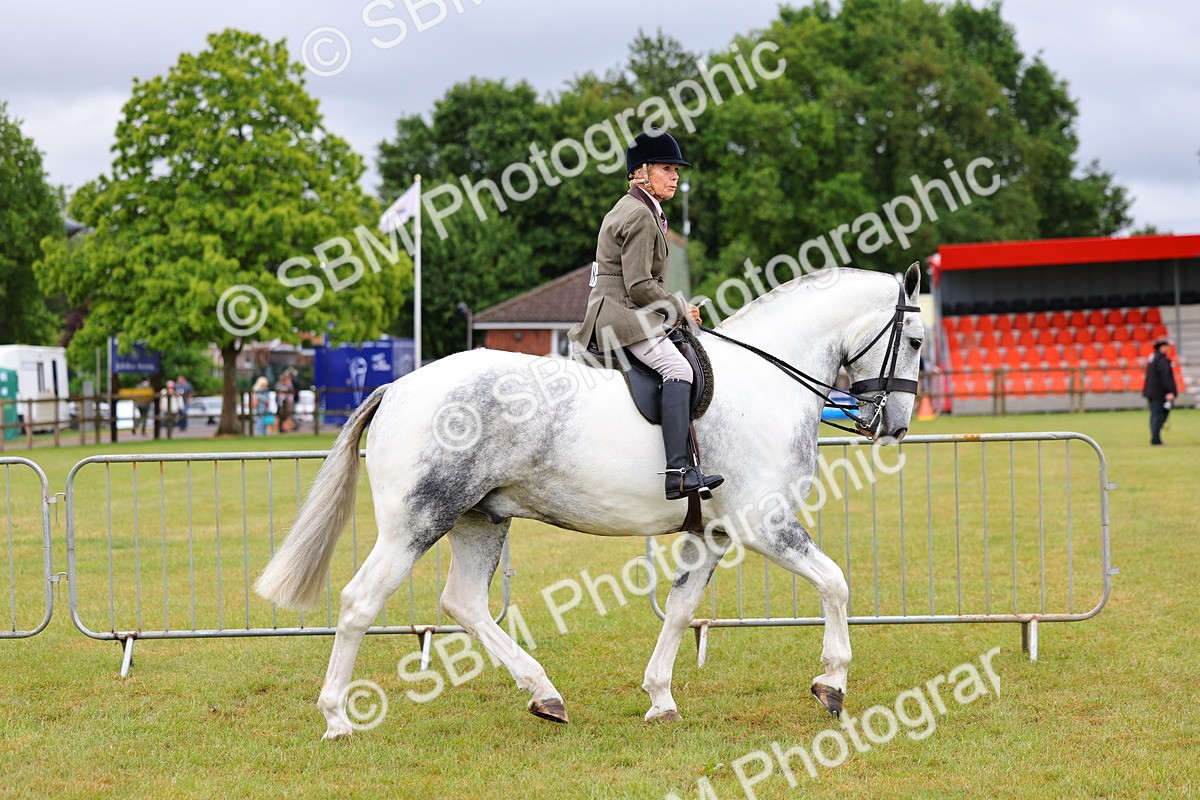 SBM_02482 - Class 9-11 Side Saddle including LIHS Rising Star Ladies Show Horse