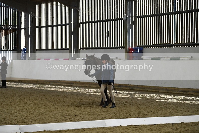 WJ5_4827 - Class 7 In hand coloured / odd coloured