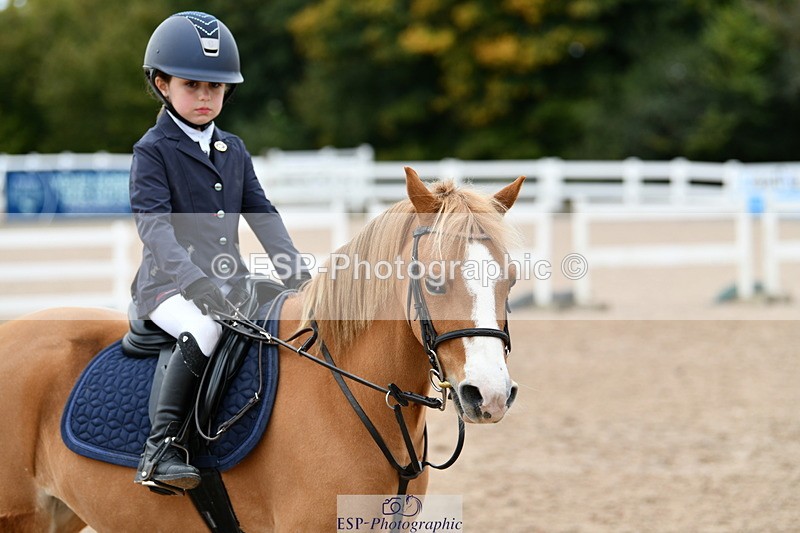 241013B-121027-00883 - Cls 2b 40cm