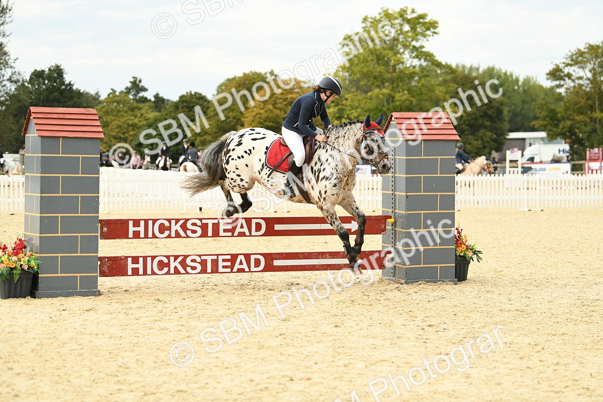 SBM_75676 - Supreme Championship