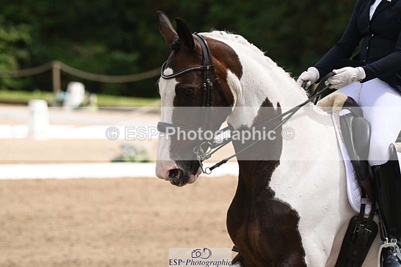250720A-145544-12025 - 051-Molly.Bennett-Gemini.VII