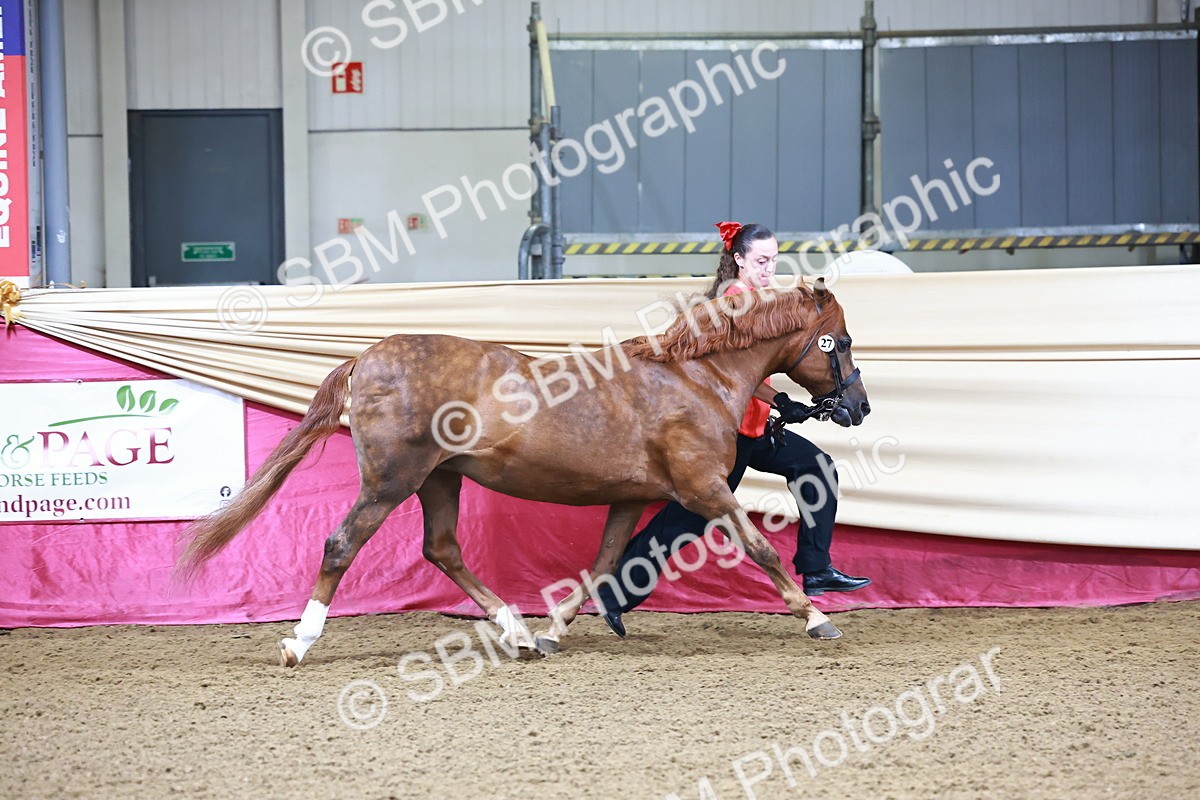 SBM_21640 - Class 901 - Supreme Final - IH  Diamond