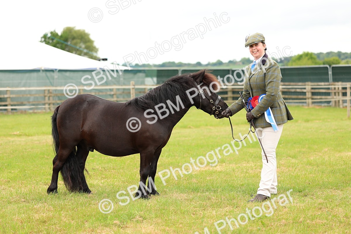 SBM_03529 - Class 58-67 - M&M Non Welsh Pony In hand
