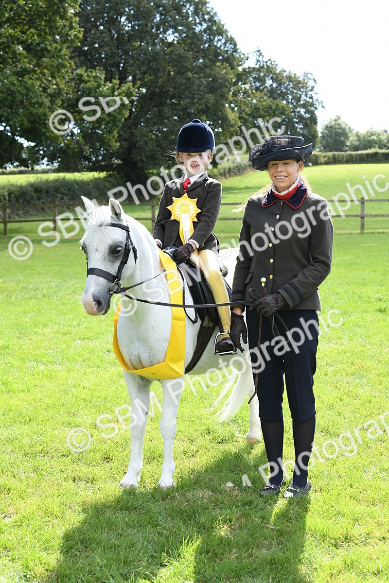 SBM_42639 - S20 - Lead Rein Mountain & Moorland Pony