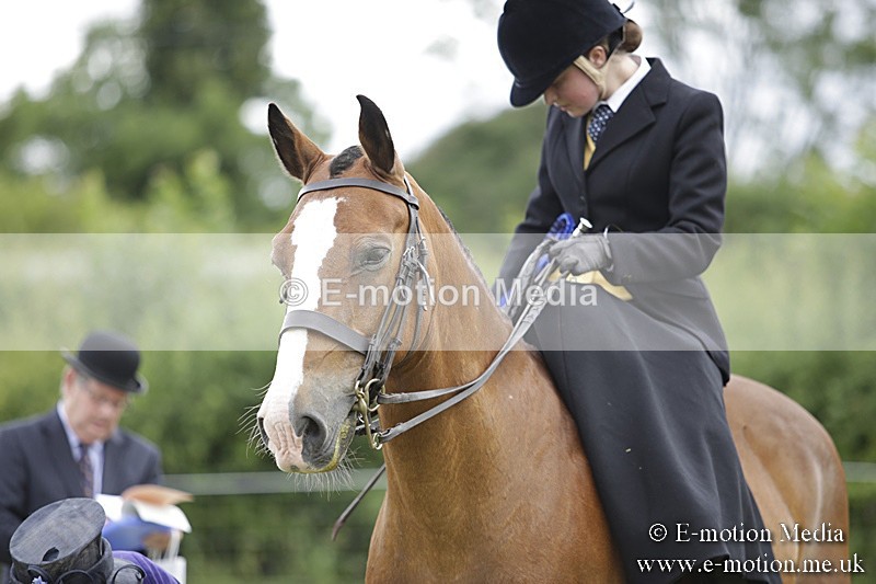 BVR160717-2009 - Side Saddle Classes 16/07/17