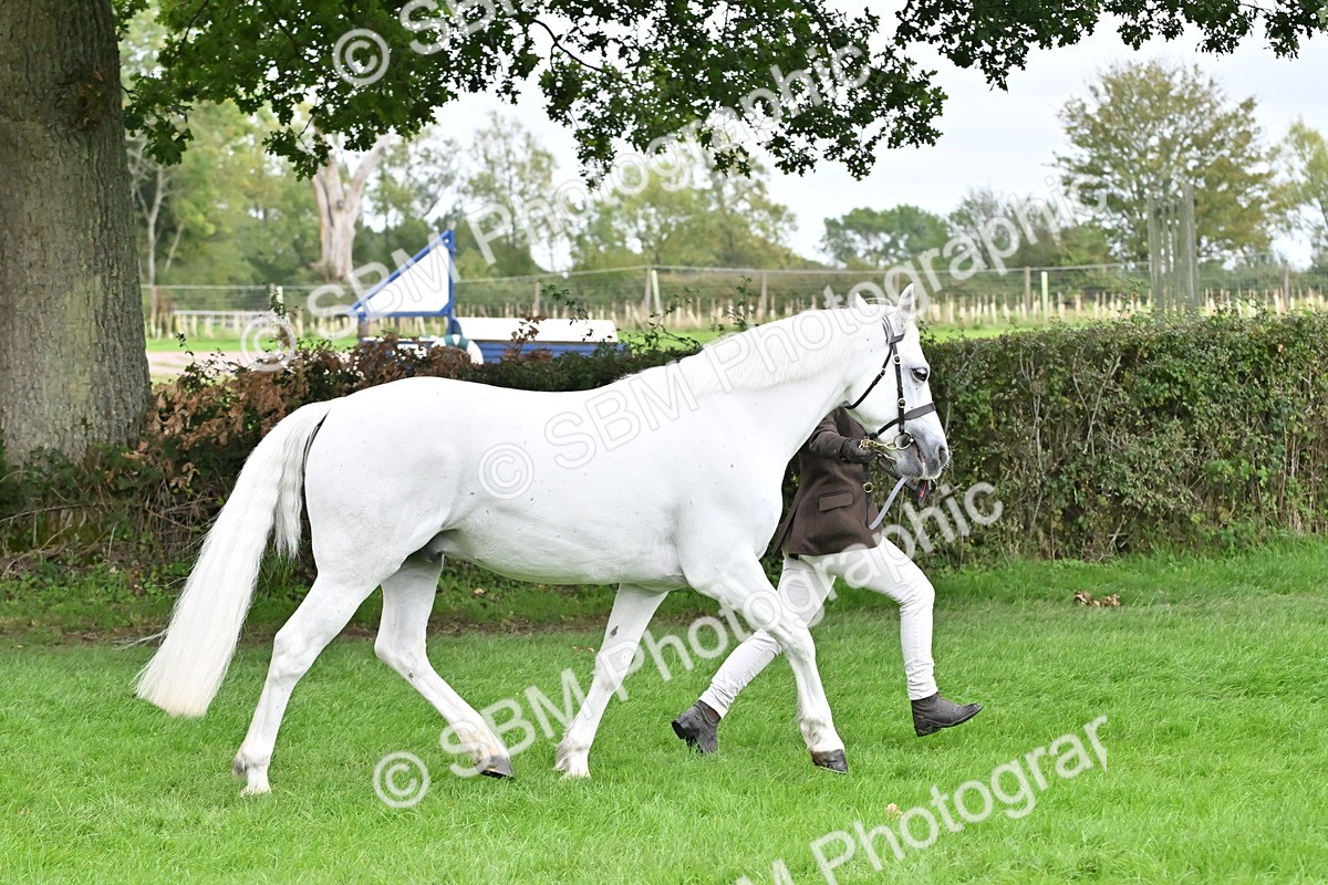 SBM_63240 - S49 - Mountain & Moorland In Hand Large Breeds