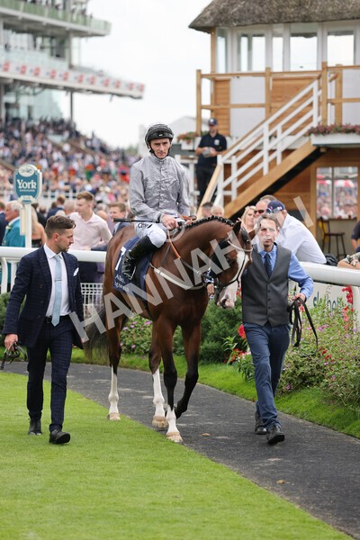 yr20082021r3-8 - Race 3 3.00pm Al Basti Equiworld Dubai Gimcrack Stakes