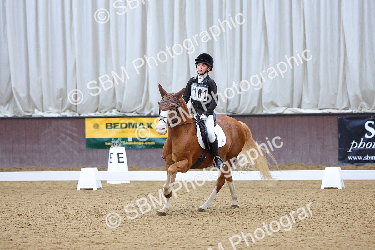 SBM_004203 - Intermediate