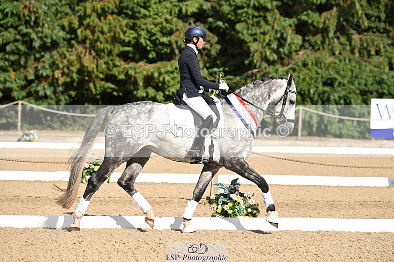 250808A-170043-02187 - Novice GOLD Presentations