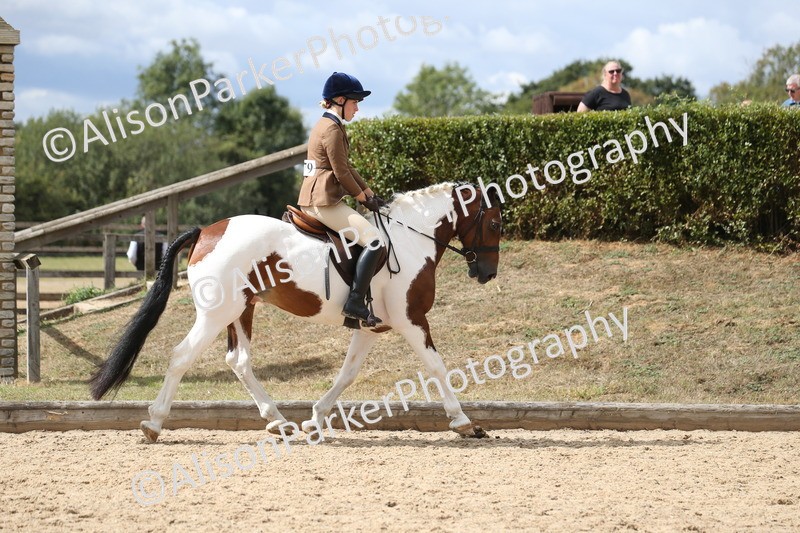 20260831-2706 - Class 16 and 17- Ridden Cob and Hunters