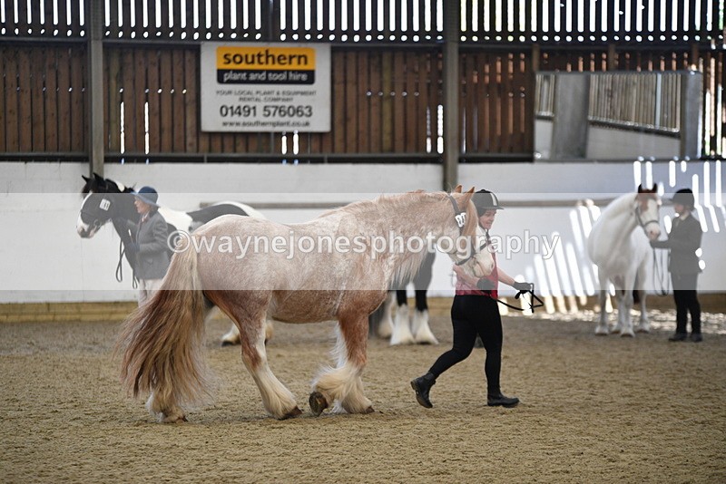 WJ5_4757 - Class 7 In hand coloured / odd coloured