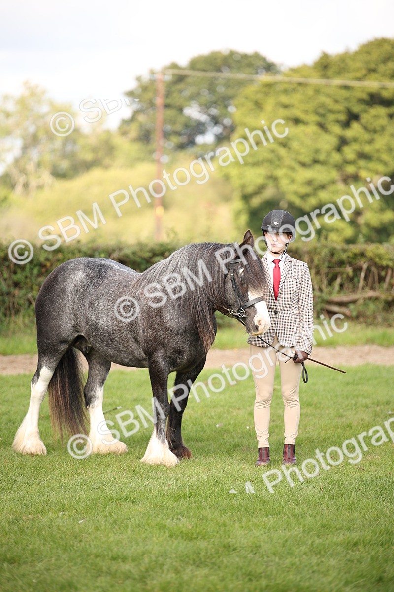 SBM_62302 - S55 - Traditional Cob In Hand