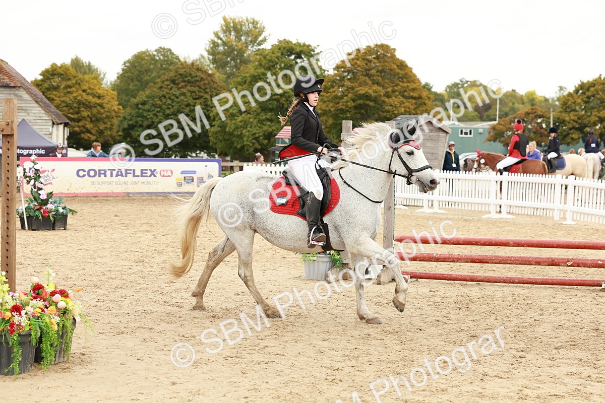 SBM_62016 - J12 - Junior Pony 55cm Championship