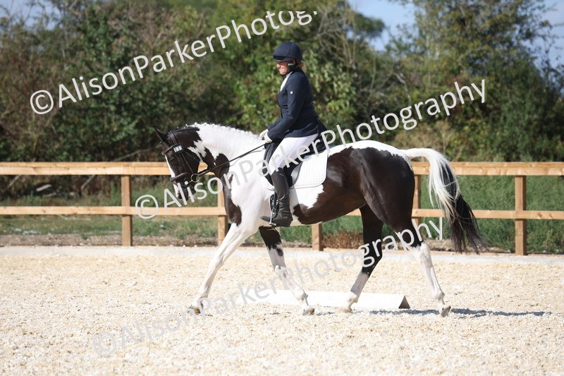 20260905-1561 - Class 5 - Novice 2