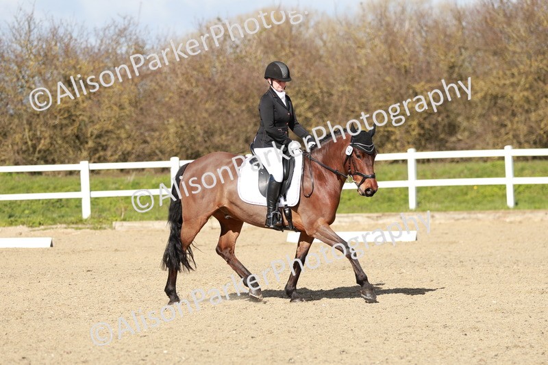 20260314-3090 - DR3 - Prelim 1