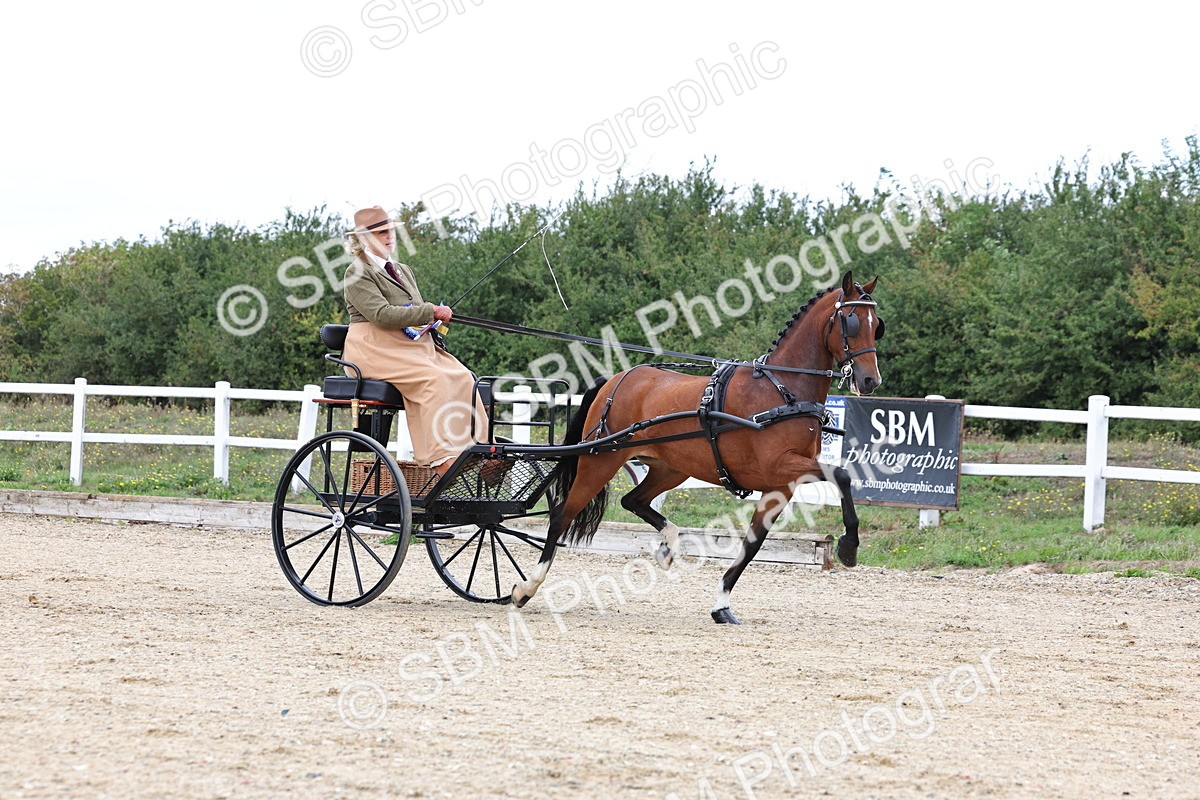 SBM_000341 - Class 2 - Exercise Vehicle 13.2hh & Under