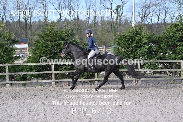 BPP_6713 - RING 1  (RIDDEN HORSES / IN HAND / VETERAN ETC)