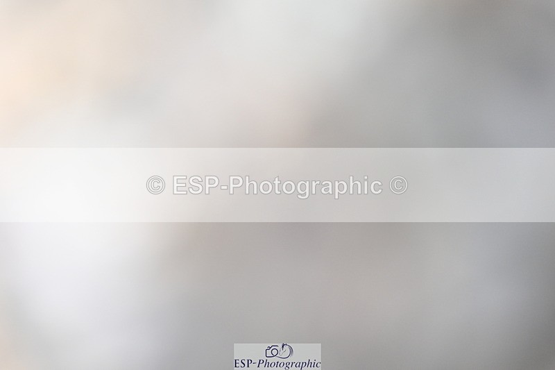 240514A-173116-00239 - 80cm