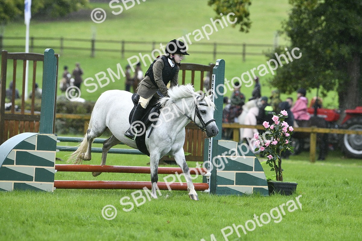 SBM_37157 - S31 - Novice & Newcomer Working Hunter Pony