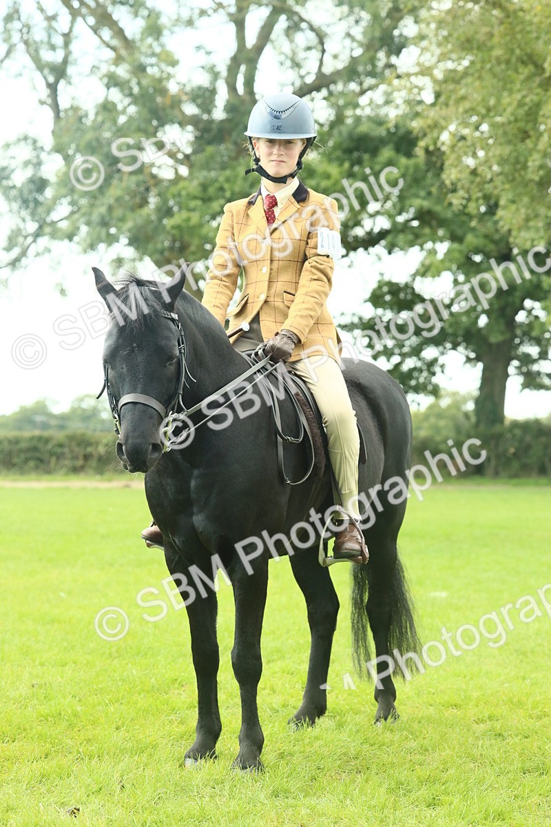 SBM_66460 - S34 - Rehabilitated Rescue Horse & Pony In Hand & Ridden