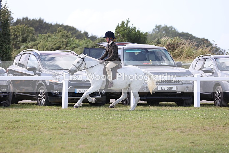 JPP_2333 - Class 19: Working Hunter 60cm