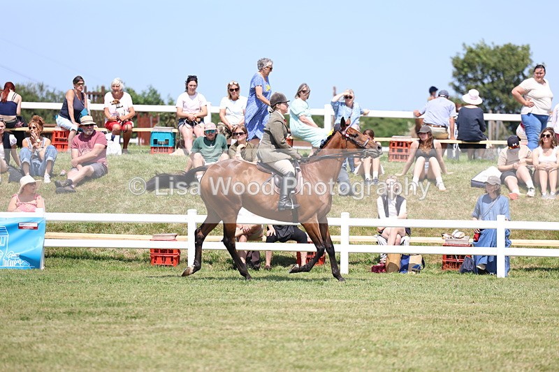 3E7A9283 - Class 12: Open Racehorse to Show Horse