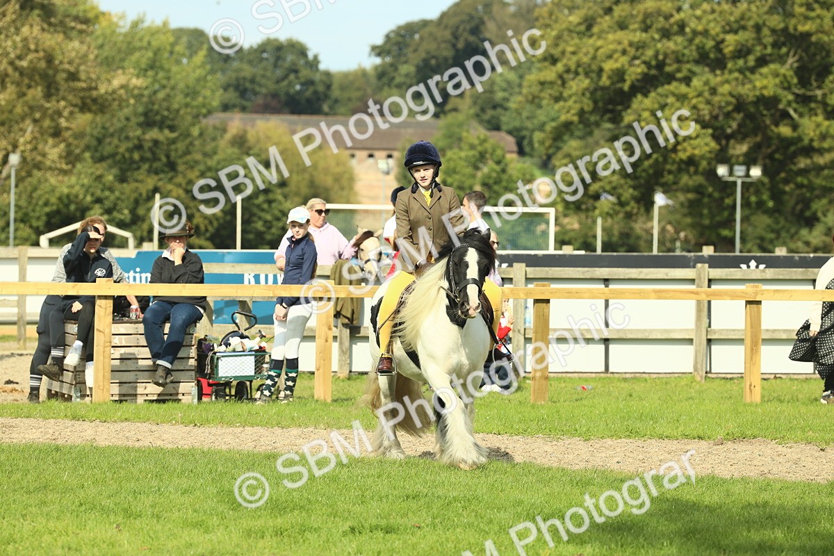 SBM_68909 - S58 - Mini Show Cob Ridden