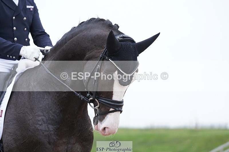 250403-164908-03438 - 024-Jezz.Palmer-Totillah