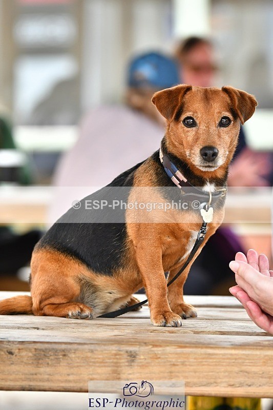 230817-153946-03109 - Presentations