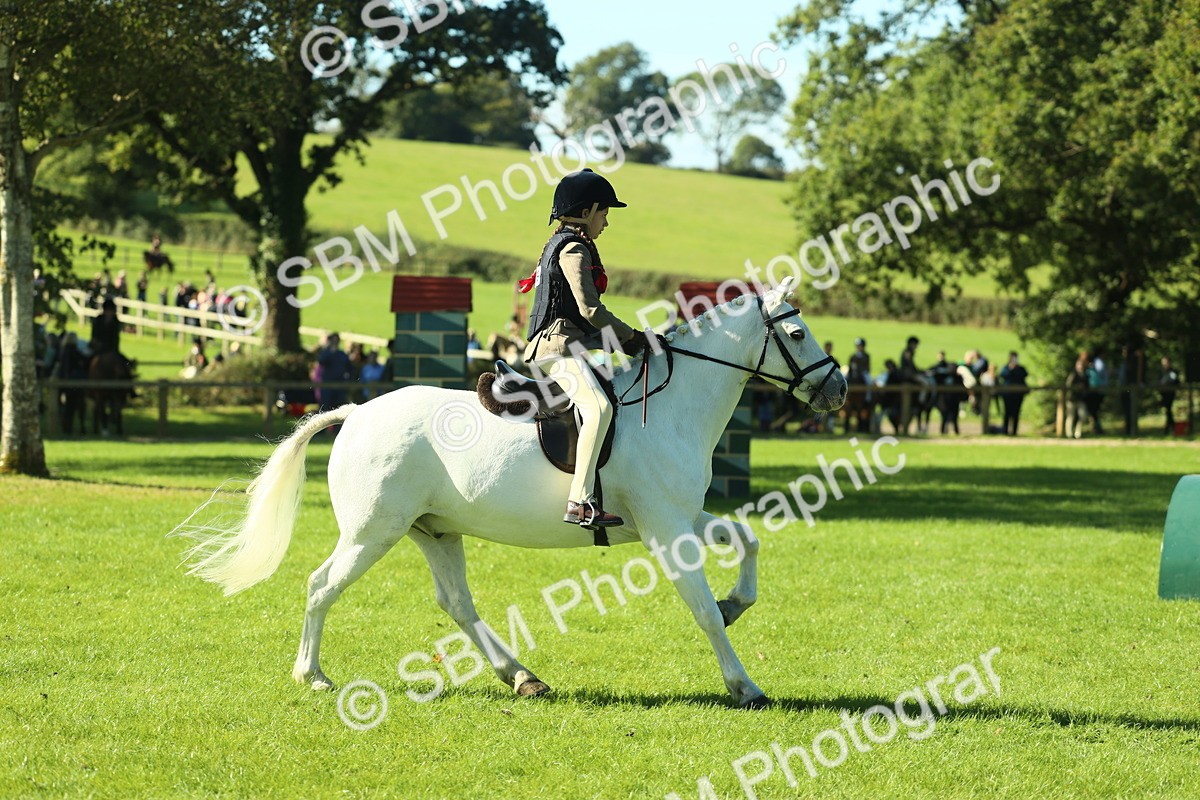 SBM_37502 - S29 - Novice & Newcomers Working Hunter Pony