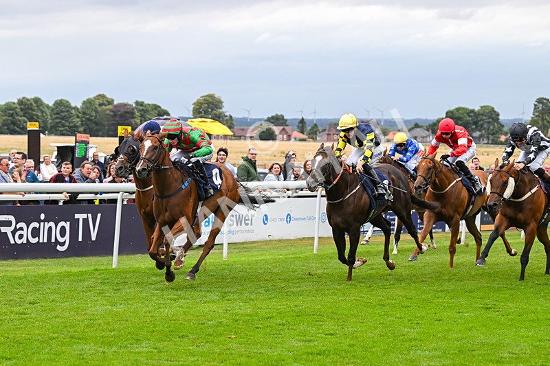 150824-Race 4-Opal Storm-8072 - Race 4