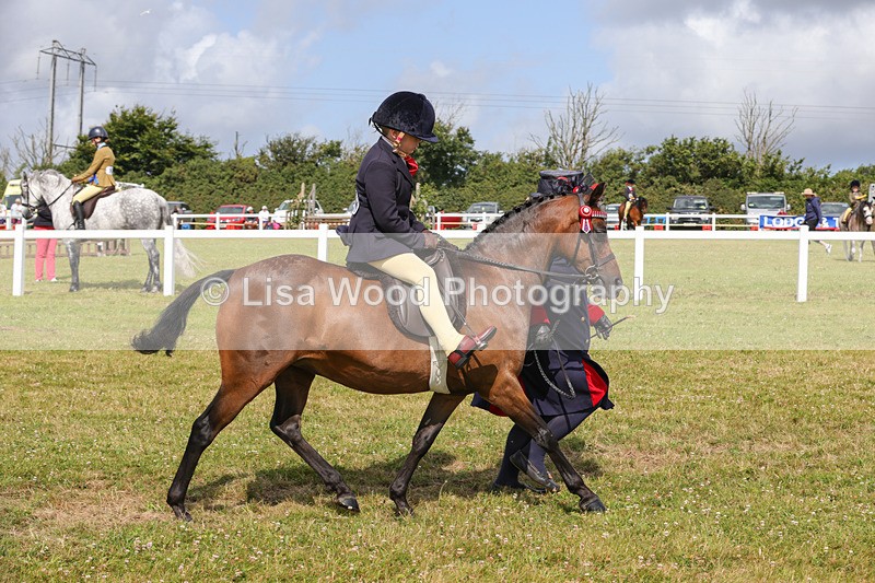1X9A3650 - Class 29: Lead Rein SP/SHP
