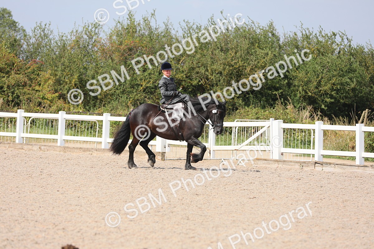 SBM_14530 - Class 211 Best Side Saddle Horse/Pony