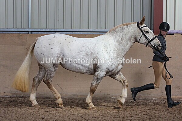 SIAL0035 - Indoor Classes