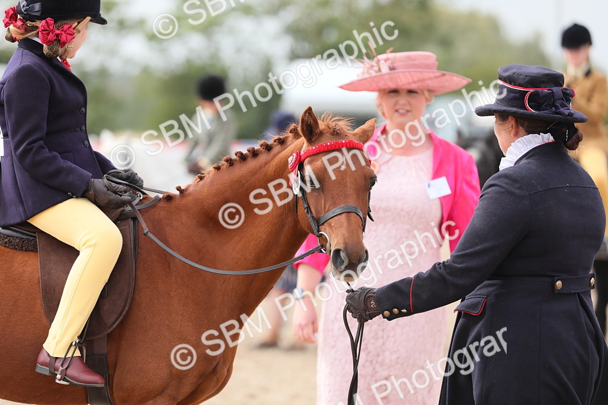 SBM_16894 - Class 314 Family Horse/Pony