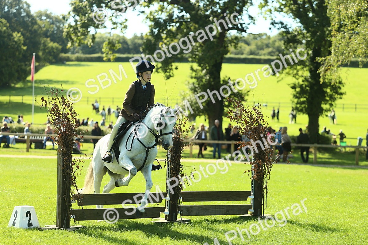 SBM_39199 - S29 - Novice & Newcomers Working Hunter Pony