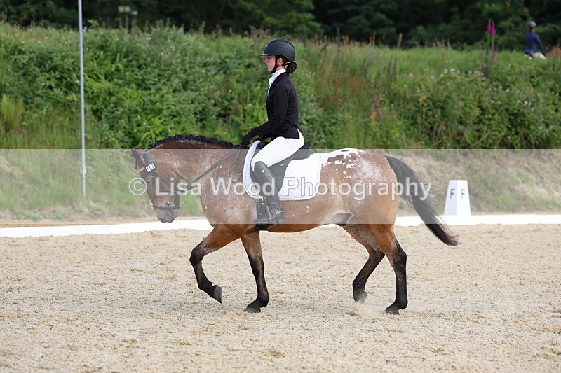 3E7A1459 - Class 2: Intro 2 2024 Section B