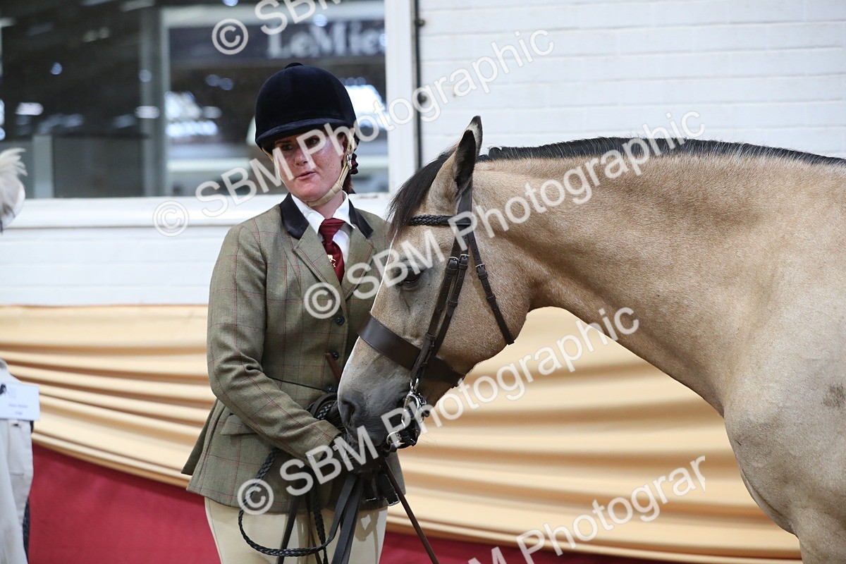 SBM_06411 - Class 9R Regional- IH Pre Vet