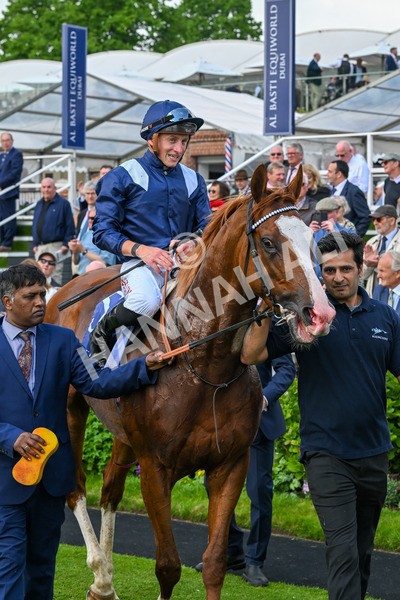 160524-Race 4-Economics-6092 - Race 4 3.45pm Al Basti Equiworld Dubai Dante Stakes