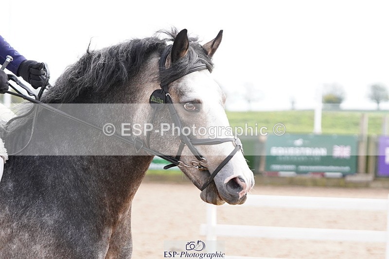 250419-152844-12925 - 666-Charlotte.Cutts-BEECHMOUNT.BLAZE