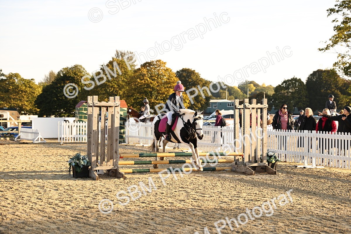 SBM_57137 - J11 - Junior Pony 50cm Championship