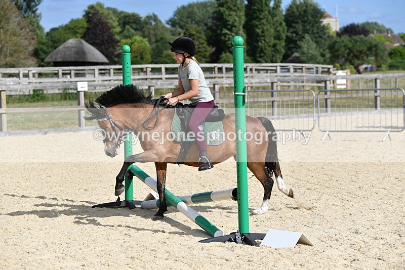 WJ5_5580 - Poles off the floor