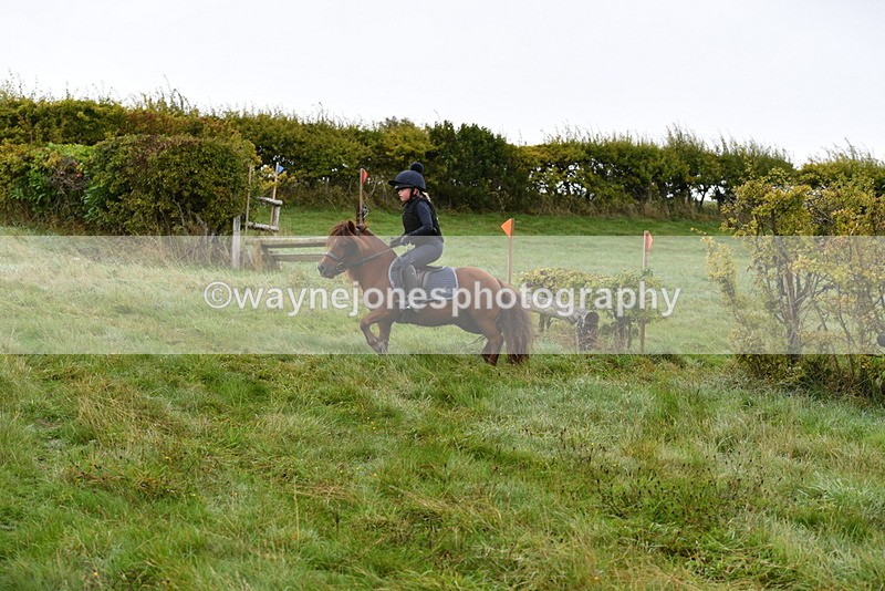 WJ5_5602 - Time 10:05 to 10:30  (3 cameras)