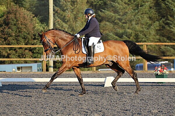 SIAL2462 - Saturday 16th 230pm till finish