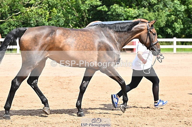 240718A-105242-01041 - Trot Up 11am to 12pm